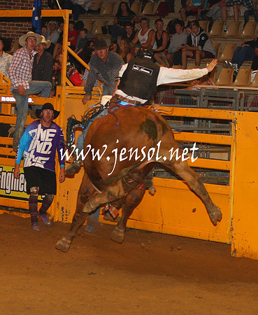 RealDealHorseworld_JenSol_0779