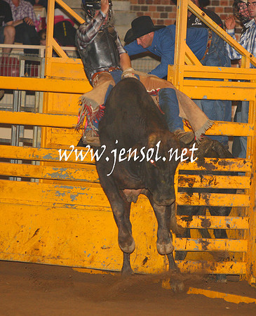 RealDealHorseworld_JenSol_0697