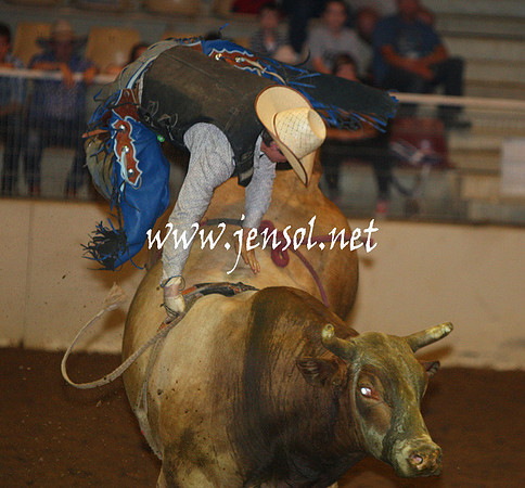 RealDealHorseworld_JenSol_0271