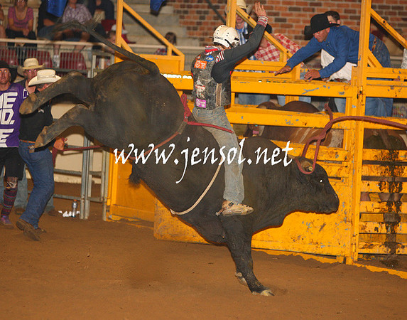 RealDealHorseworld_JenSol_0811