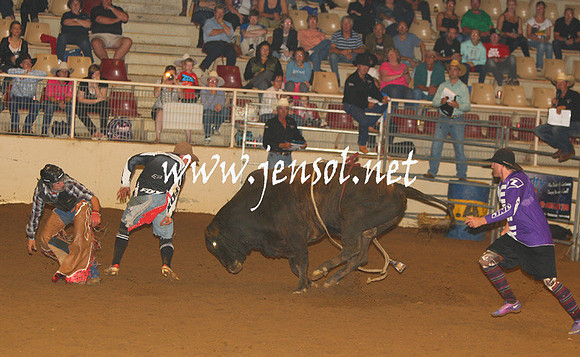 RealDealHorseworld_JenSol_0704