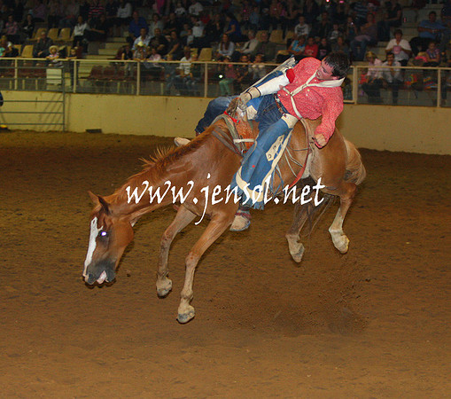 RealDealHorseworld_JenSol_0533