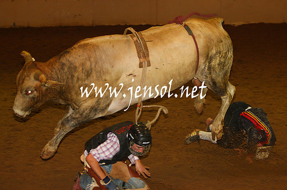 RealDealHorseworld_JenSol_0675