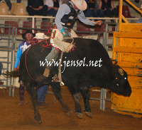 RealDealHorseworld_JenSol_0277