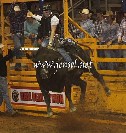 RealDealHorseworld_KJS_0014