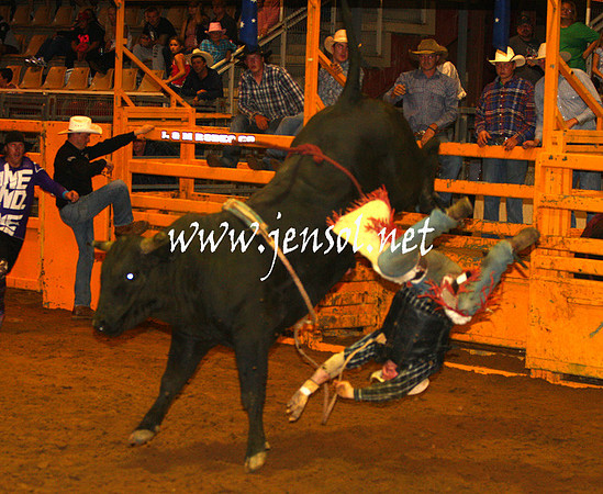 RealDealHorseworld_JenSol_0789