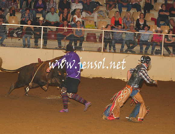 RealDealHorseworld_JenSol_0706