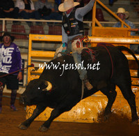 RealDealHorseworld_JenSol_0274