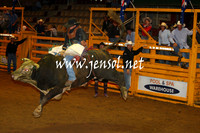 RealDealHorseworld_JenSol_0310