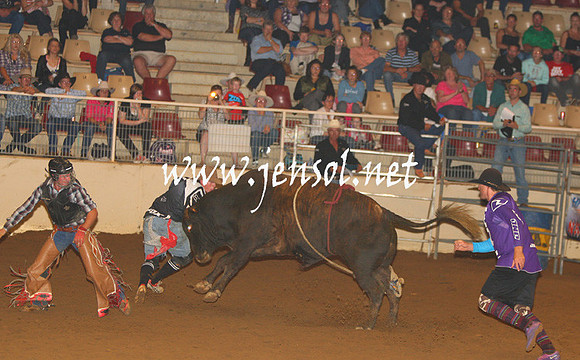 RealDealHorseworld_JenSol_0705