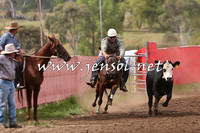 NimmitabelCampdraft2015_1738