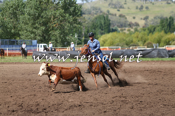 NimmitabelCampdraft2015_1818