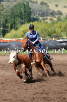 NimmitabelCampdraft2015_1814