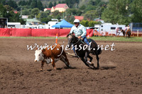 NimmitabelCampdraft2015_1799