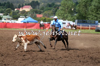 NimmitabelCampdraft2015_1750