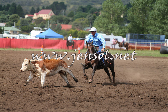 NimmitabelCampdraft2015_1750