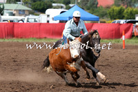 NimmitabelCampdraft2015_1782