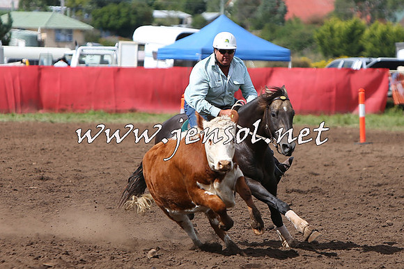 NimmitabelCampdraft2015_1782