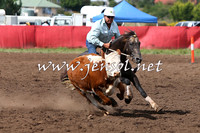 NimmitabelCampdraft2015_1784