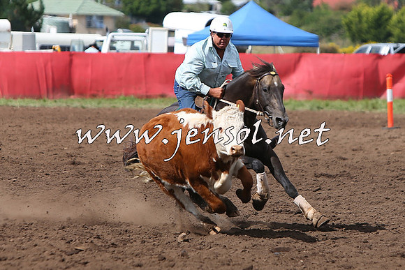 NimmitabelCampdraft2015_1784