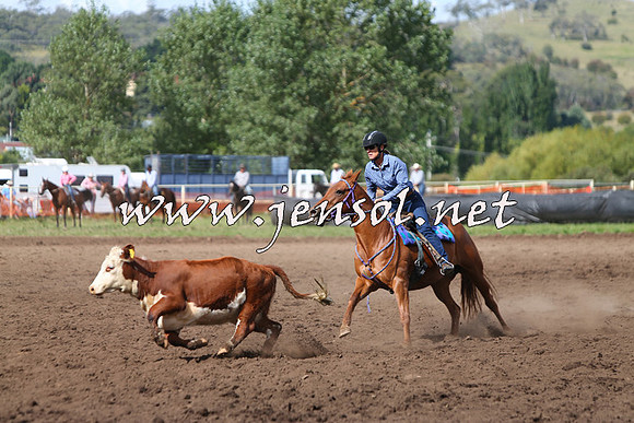 NimmitabelCampdraft2015_1817