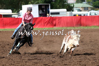NimmitabelCampdraft2015_1759
