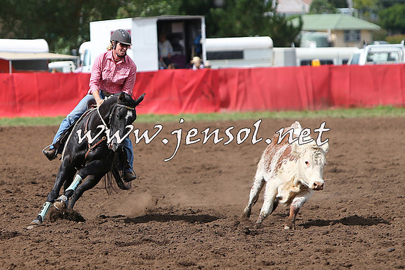 NimmitabelCampdraft2015_1759