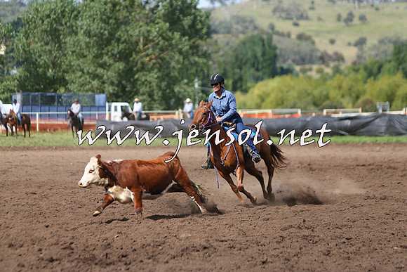 NimmitabelCampdraft2015_1819