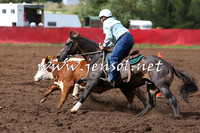 NimmitabelCampdraft2015_1793