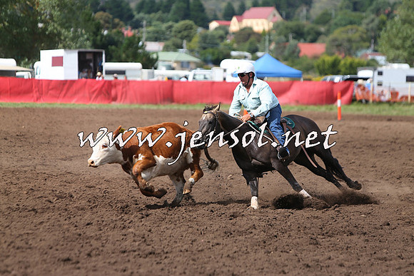 NimmitabelCampdraft2015_1797