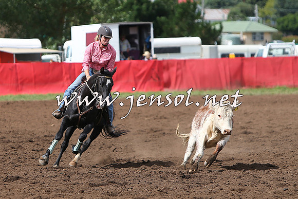 NimmitabelCampdraft2015_1758