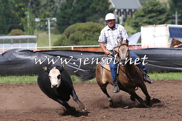 NimmitabelCampdraft2015_1765
