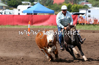 NimmitabelCampdraft2015_1778