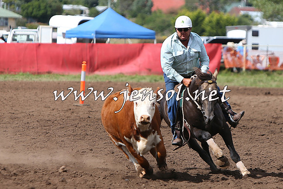 NimmitabelCampdraft2015_1778