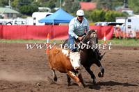NimmitabelCampdraft2015_1787