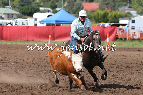 NimmitabelCampdraft2015_1787