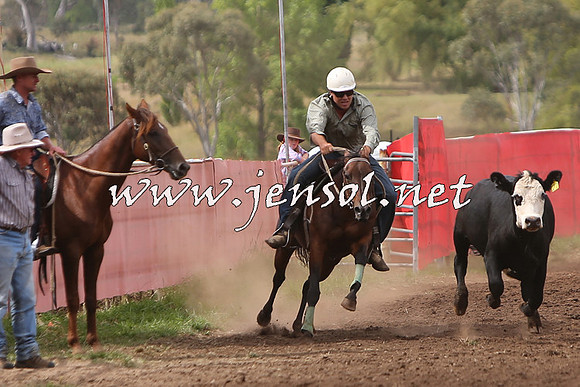 NimmitabelCampdraft2015_1745