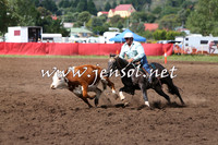 NimmitabelCampdraft2015_1798