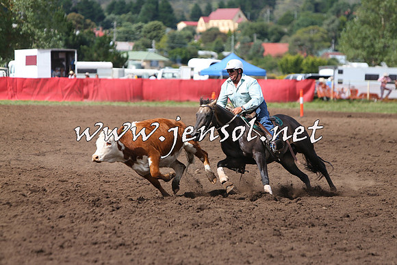 NimmitabelCampdraft2015_1798