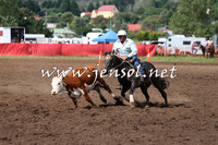 NimmitabelCampdraft2015_1800