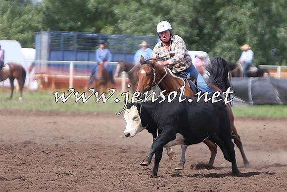 NimmitabelCampdraft2015_1827