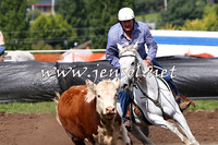 NimmitabelCampdraft2015_1768