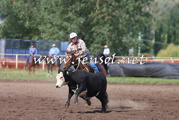 NimmitabelCampdraft2015_1828