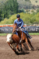 NimmitabelCampdraft2015_1813