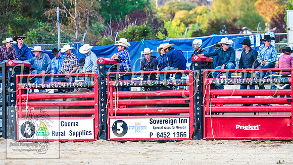 CoomaRodeo2014_2121
