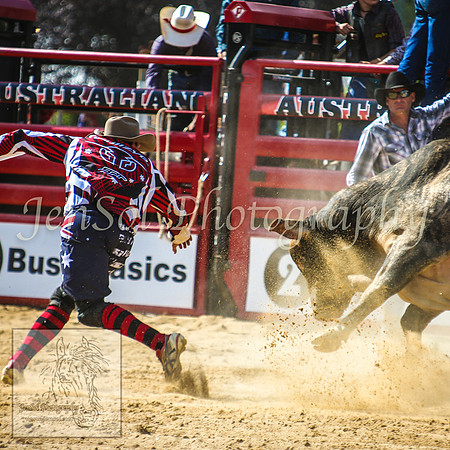 CoomaRodeo2014_1241