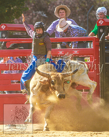 CoomaRodeo2014_KJS_0566