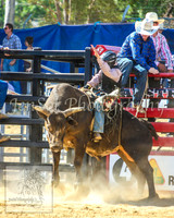 CoomaRodeo2014_1250