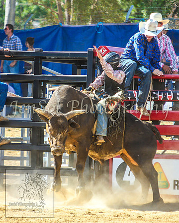 CoomaRodeo2014_1250