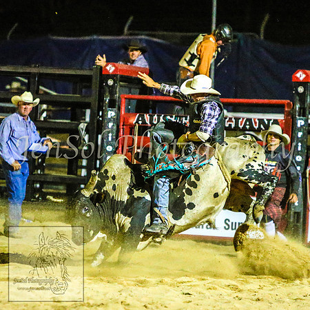 CoomaRodeo2014_2842